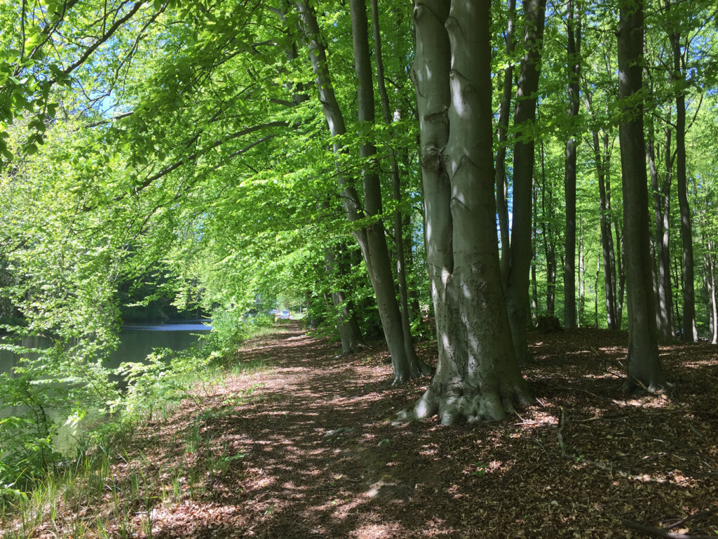 Buchen an der Elde Marina Bermudadreieck