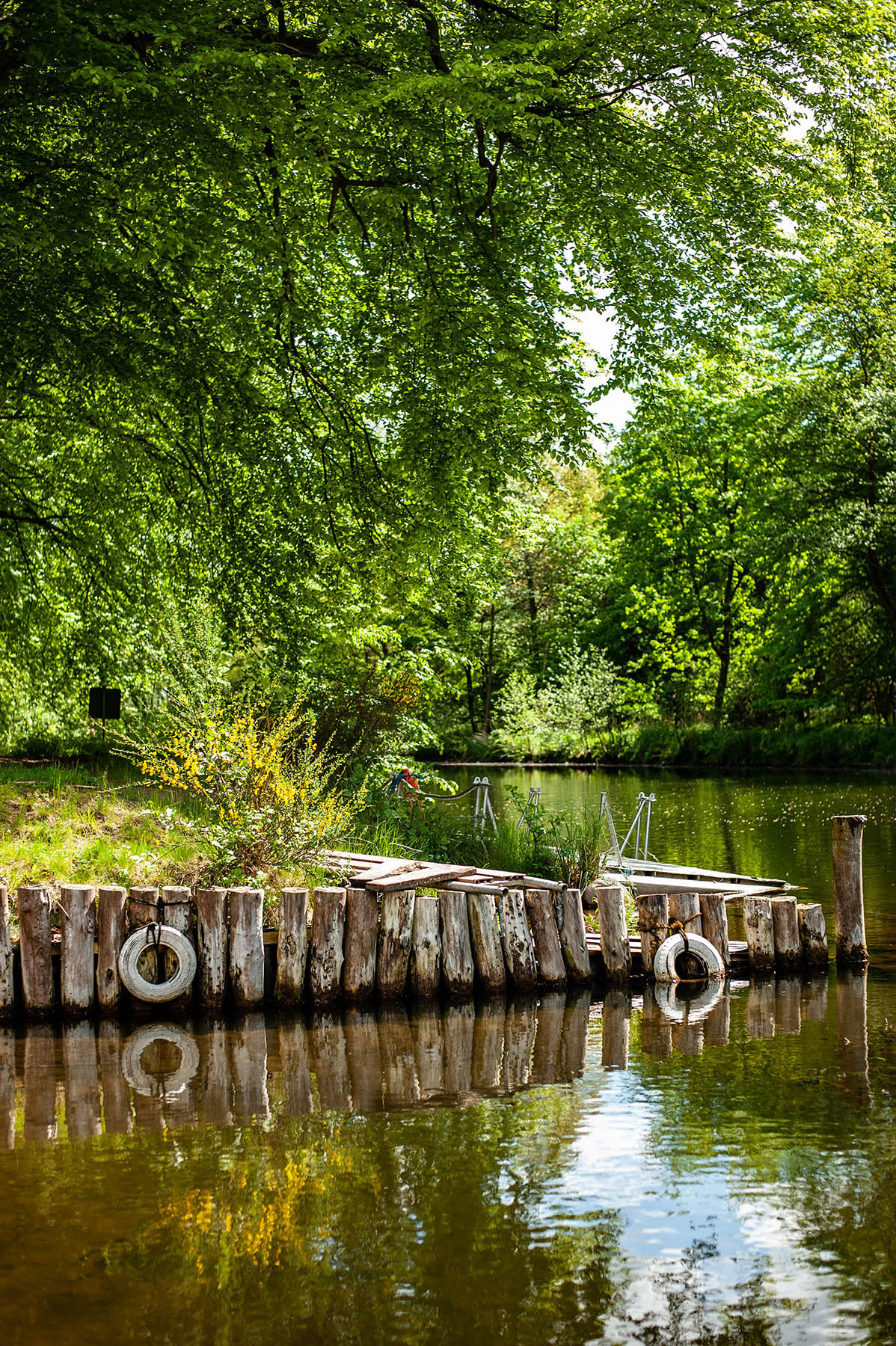 steg an der elde