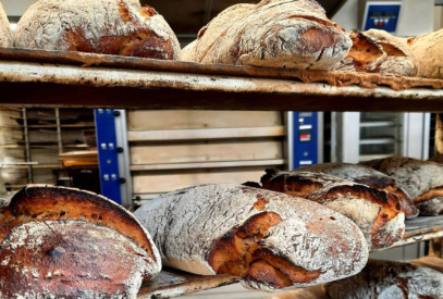 brot baeckerei behrens plau am see campingplatz